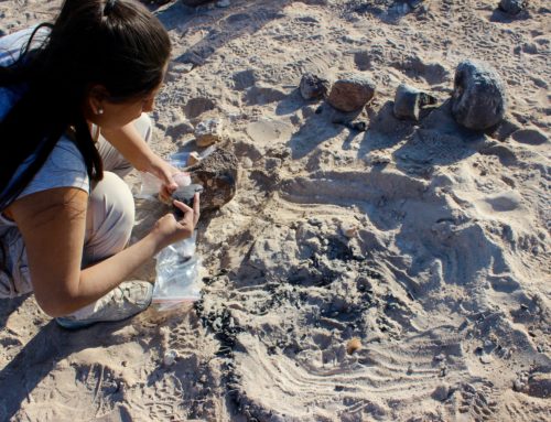 Antiguas comunidades del interior de Iquique eran magistrales talladoras de piedras